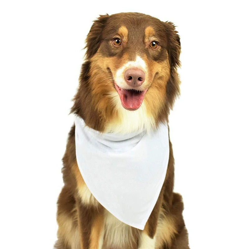 30pcs White Polyester Blank Do - Bandana Blank White บทวิจารณ์และราคา